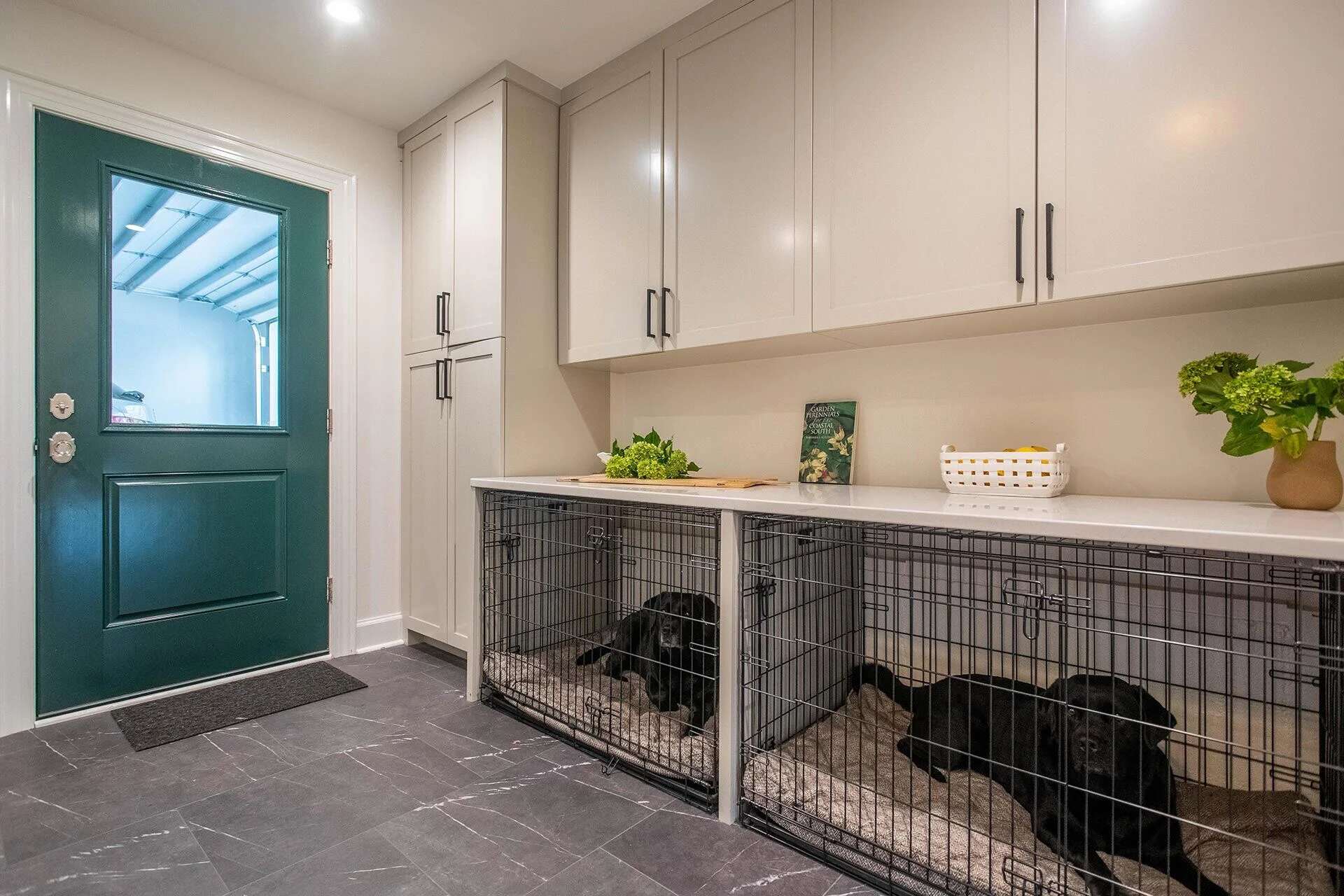 Organized utility room with kennel stations and green door in a Middle Sound Loop Area home by Balding Design Build
