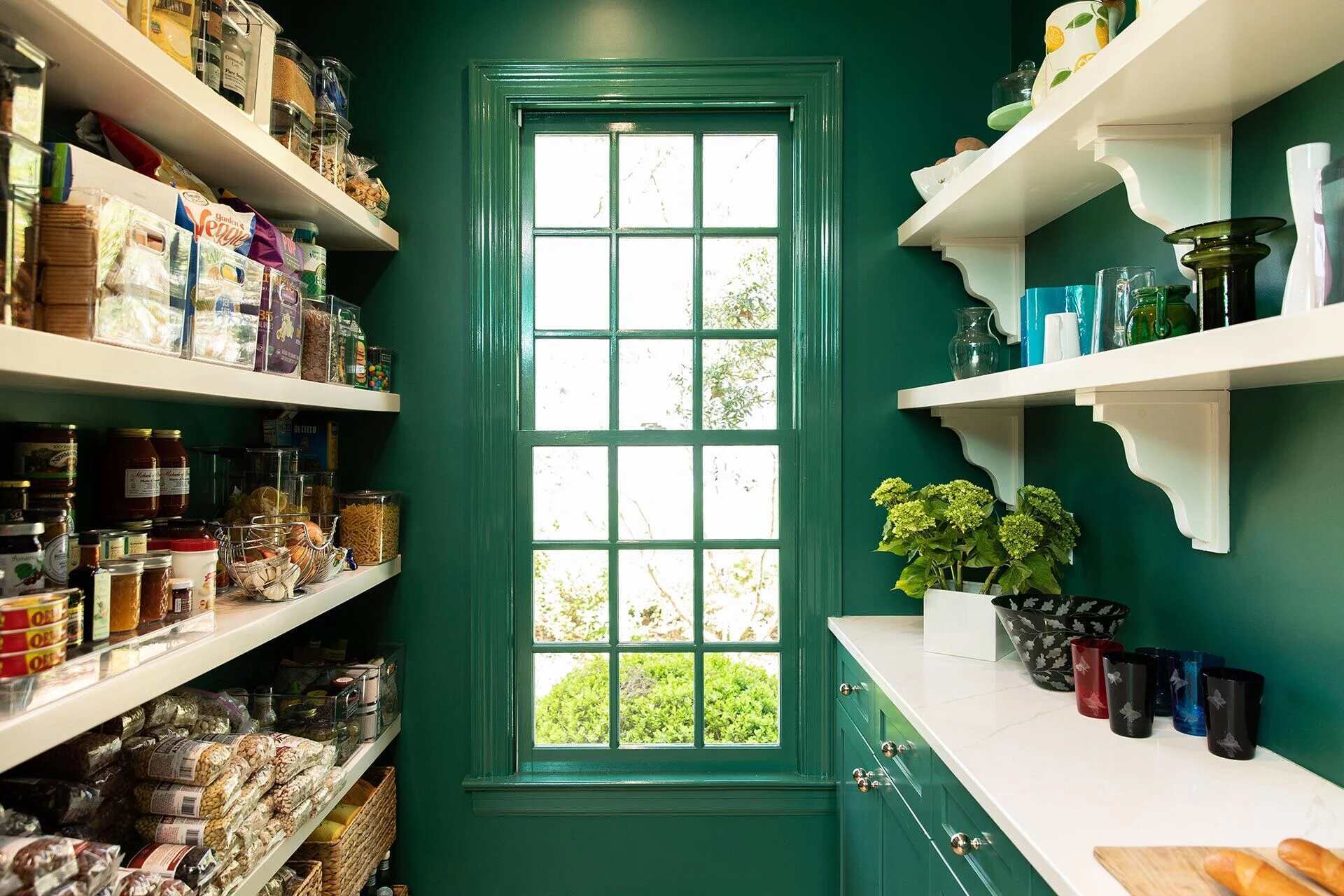 Walk-in pantry with floor-to-ceiling shelving and emerald green walls in a custom Wilmington, NC home by Balding Design Build